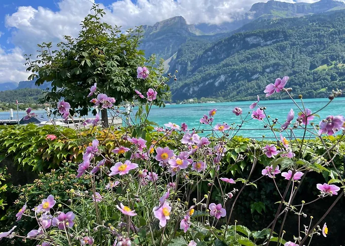 Chalet Romantica Carpe Diem Best View Best Location