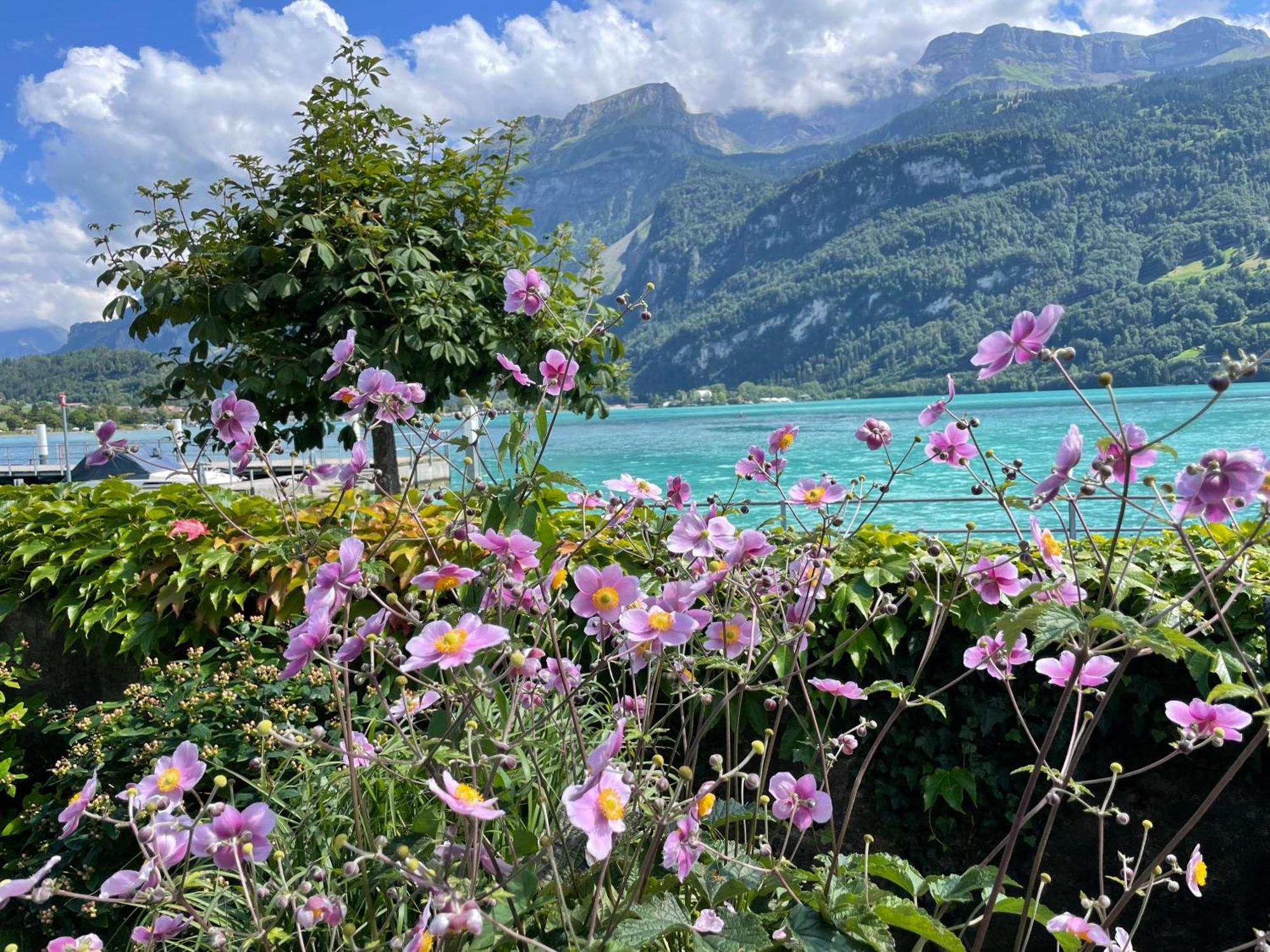 Romantica Carpe Diem View Location Appartement Brienz (Bern)